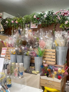 ずこうしつ〜sugamo〜に投稿された画像（2022/3/12）