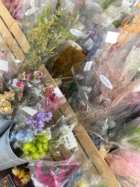 ずこうしつ〜sugamo〜に投稿された画像（2022/3/12）