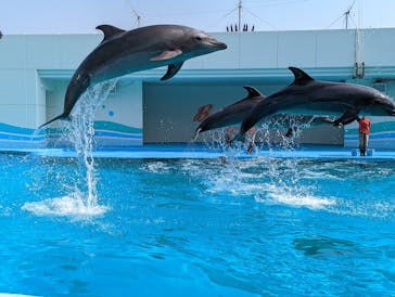 南知多ビーチランド＆南知多おもちゃ王国に投稿された画像（2022/3/12）