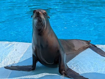 南知多ビーチランド＆南知多おもちゃ王国に投稿された画像（2022/3/12）