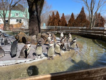 那須どうぶつ王国に投稿された画像（2022/3/12）