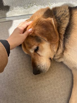 那須どうぶつ王国に投稿された画像（2022/3/12）