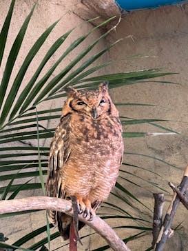 那須どうぶつ王国に投稿された画像（2022/3/12）