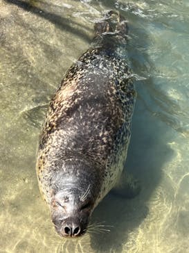 那須どうぶつ王国に投稿された画像（2022/3/12）