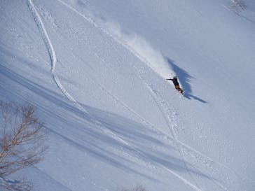 番亭　bamboo tailに投稿された画像（2022/3/12）