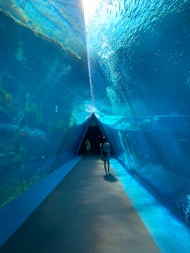 環境水族館アクアマリンふくしまに投稿された画像（2022/3/12）