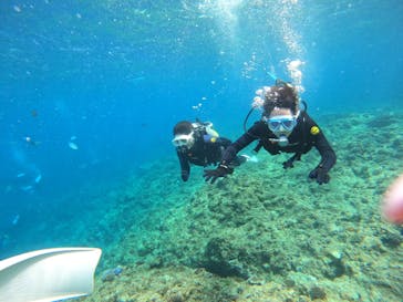 DIVING-SHOP SUNSに投稿された画像（2022/3/12）