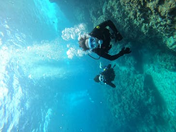 DIVING-SHOP SUNSに投稿された画像（2022/3/12）