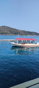 ミキモト真珠島に投稿された画像（2022/3/12）