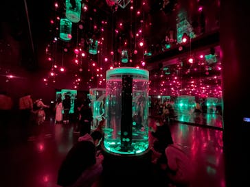 マクセル アクアパーク品川に投稿された画像（2022/3/12）