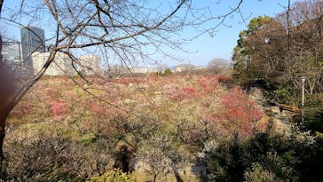 大阪城天守閣に投稿された画像（2022/3/12）