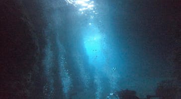 武藤潜水に投稿された画像（2022/3/12）