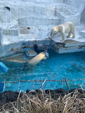 天王寺動物園に投稿された画像（2022/3/12）