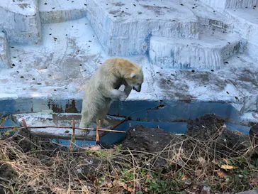 天王寺動物園に投稿された画像（2022/3/12）