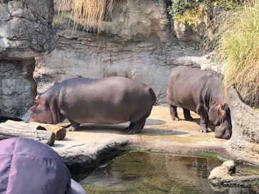 天王寺動物園に投稿された画像（2022/3/12）