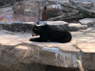 天王寺動物園に投稿された画像（2022/3/12）