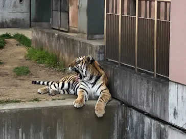 天王寺動物園に投稿された画像（2022/3/12）