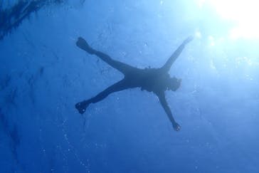 石垣島 ADVENTURE PiPi（イシガキジマアドベンチャーピピ）に投稿された画像（2022/3/12）