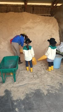 まかいの牧場に投稿された画像（2022/3/12）