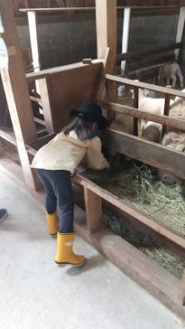 まかいの牧場に投稿された画像（2022/3/12）