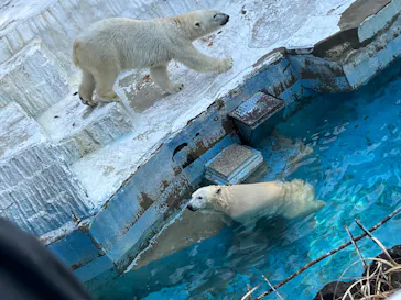 天王寺動物園に投稿された画像（2022/3/12）