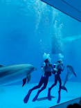 上越市立水族博物館 うみがたりに投稿された画像（2022/3/12）