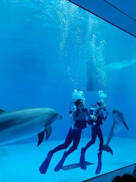 上越市立水族博物館 うみがたりに投稿された画像（2022/3/12）