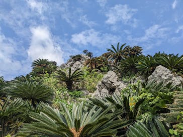 アスムイハイクスに投稿された画像（2022/3/12）