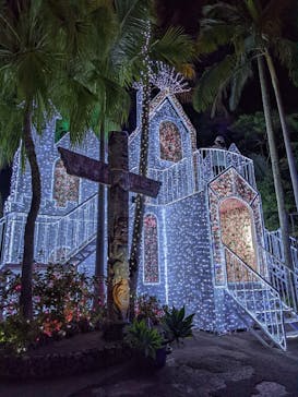 美らヤシパークオキナワ・東南植物楽園に投稿された画像（2022/3/12）