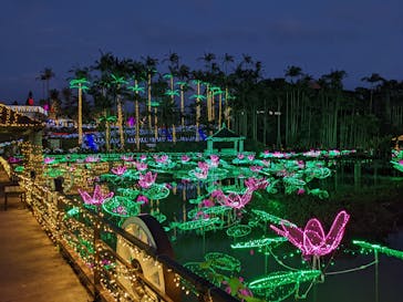 美らヤシパークオキナワ・東南植物楽園に投稿された画像（2022/3/12）