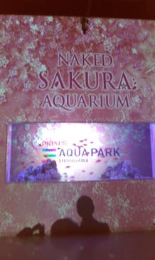 マクセル アクアパーク品川に投稿された画像（2022/3/12）