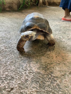 那須どうぶつ王国に投稿された画像（2022/3/12）