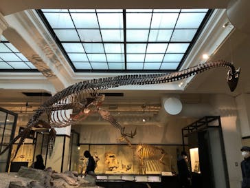 国立科学博物館に投稿された画像（2022/3/12）