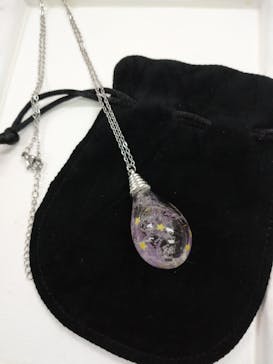 ずこうしつ〜sugamo〜に投稿された画像（2022/3/12）