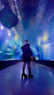 マクセル アクアパーク品川に投稿された画像（2022/3/12）