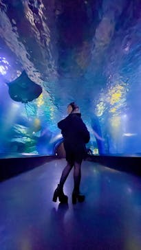 マクセル アクアパーク品川に投稿された画像（2022/3/12）