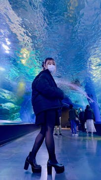 マクセル アクアパーク品川に投稿された画像（2022/3/12）