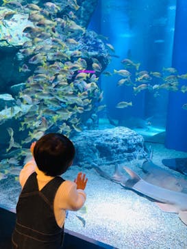 マクセル アクアパーク品川に投稿された画像（2022/3/12）