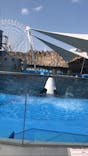 名古屋港水族館に投稿された画像（2022/3/12）