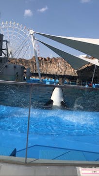 名古屋港水族館に投稿された画像（2022/3/12）