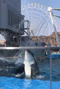 名古屋港水族館に投稿された画像（2022/3/12）