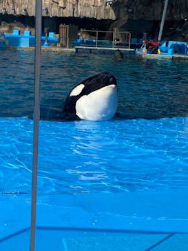 名古屋港水族館に投稿された画像（2022/3/12）