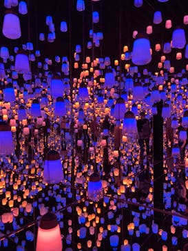 森ビル デジタルアート ミュージアム：エプソン チームラボボーダレスに投稿された画像（2022/3/12）