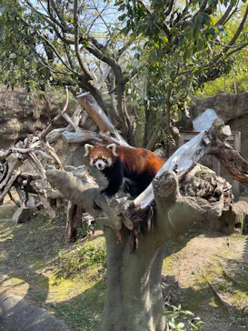 ひらかたパークに投稿された画像（2022/3/12）