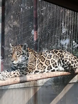 天王寺動物園に投稿された画像（2022/3/12）