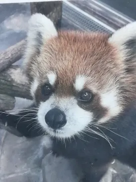 天王寺動物園に投稿された画像（2022/3/12）