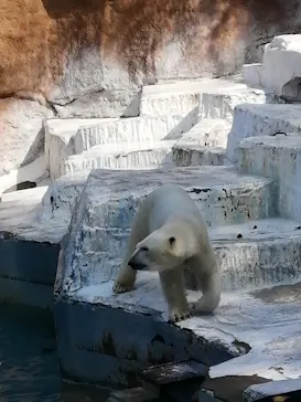 天王寺動物園に投稿された画像（2022/3/12）