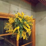 アトリエひわだやに投稿された画像（2022/3/12）