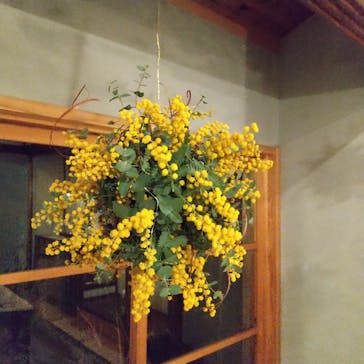 アトリエひわだやに投稿された画像（2022/3/12）