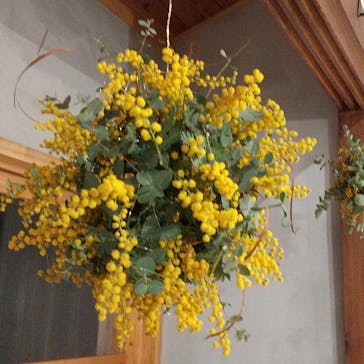 アトリエひわだやに投稿された画像（2022/3/12）